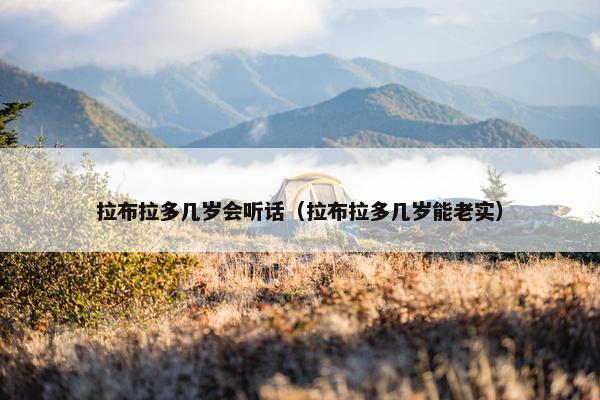 拉布拉多几岁会听话（拉布拉多几岁能老实）