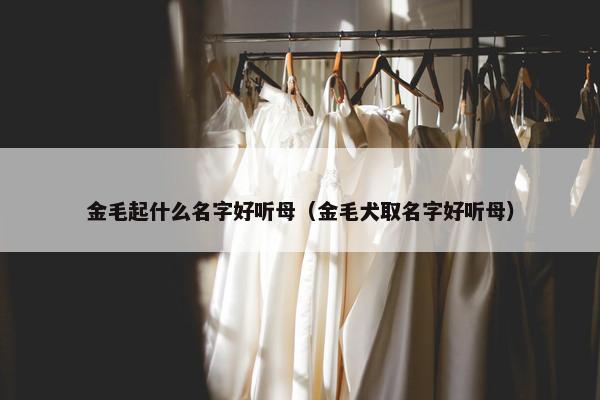 金毛起什么名字好听母（金毛犬取名字好听母）