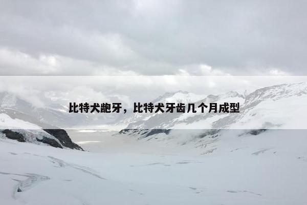 比特犬龅牙，比特犬牙齿几个月成型