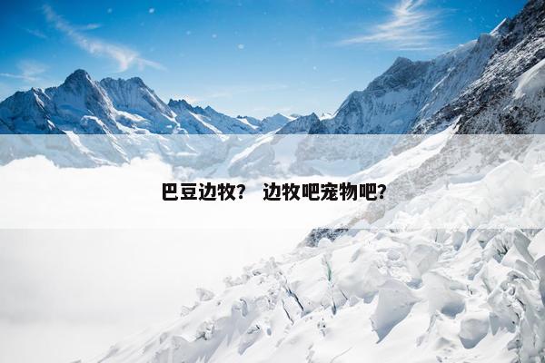 巴豆边牧？ 边牧吧宠物吧？