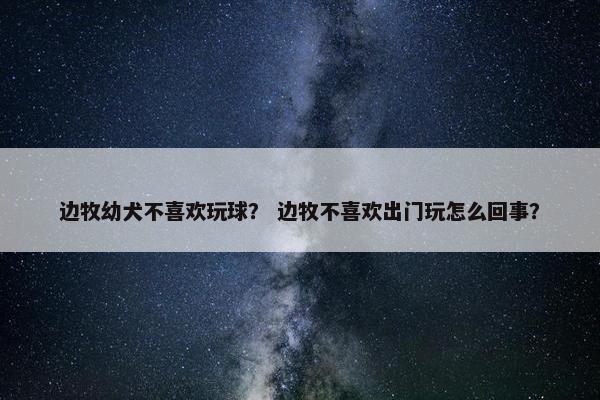 边牧幼犬不喜欢玩球？ 边牧不喜欢出门玩怎么回事？