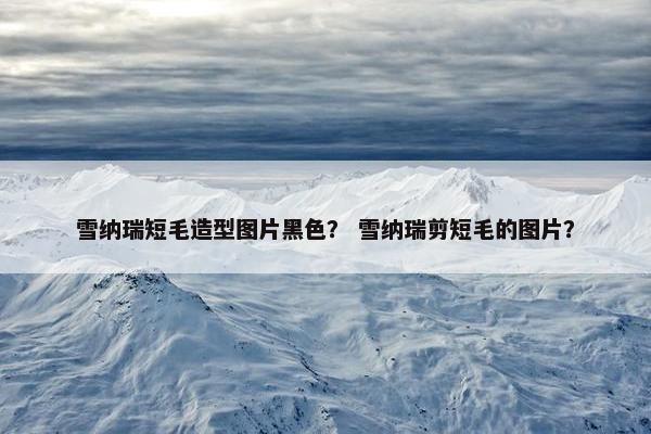 雪纳瑞短毛造型图片黑色？ 雪纳瑞剪短毛的图片？