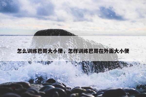 怎么训练巴哥大小便，怎样训练巴哥在外面大小便