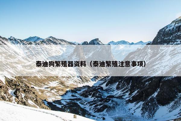 泰迪狗繁殖器资料（泰迪繁殖注意事项）