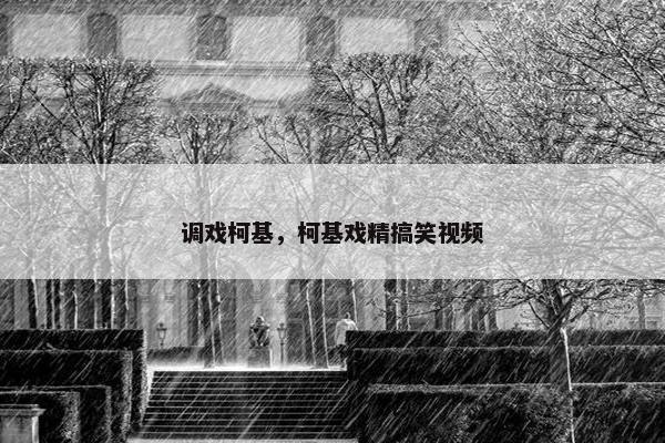 调戏柯基，柯基戏精搞笑视频