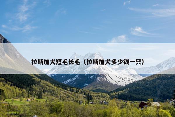 拉斯加犬短毛长毛（拉斯加犬多少钱一只）