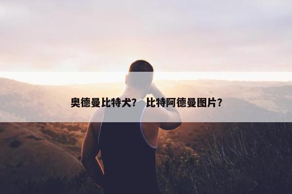 奥德曼比特犬？ 比特阿德曼图片？