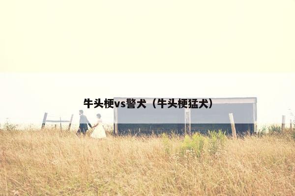 牛头梗vs警犬（牛头梗猛犬）