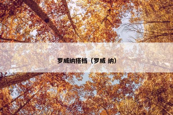 罗威纳搭档（罗威 纳）