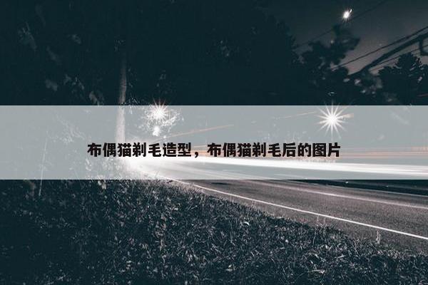 布偶猫剃毛造型，布偶猫剃毛后的图片