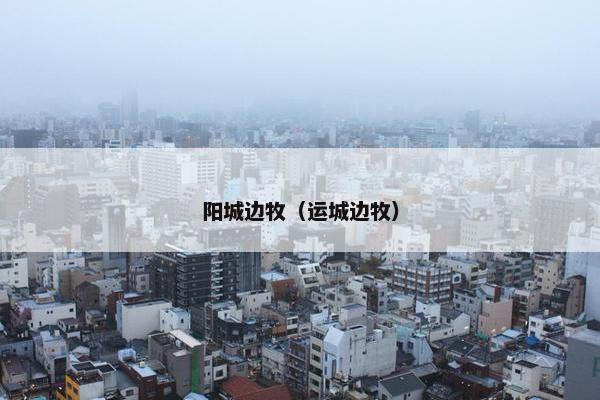 阳城边牧（运城边牧）