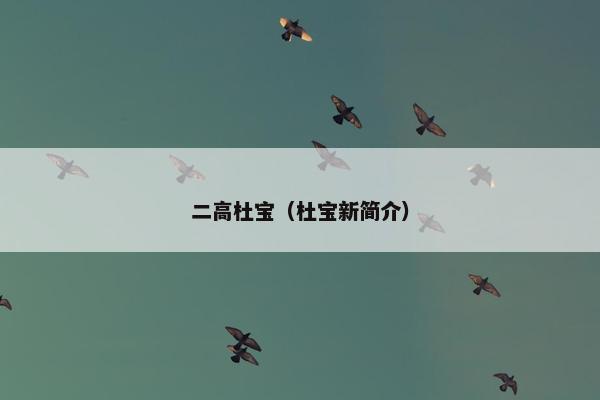二高杜宝（杜宝新简介）
