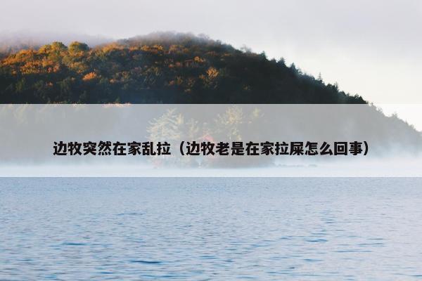 边牧突然在家乱拉（边牧老是在家拉屎怎么回事）