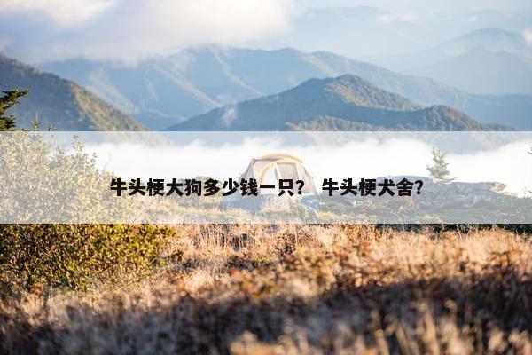 牛头梗大狗多少钱一只？ 牛头梗犬舍？