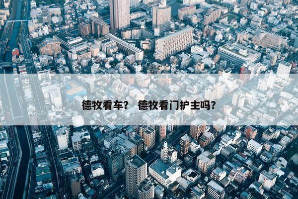 德牧看车？ 德牧看门护主吗？