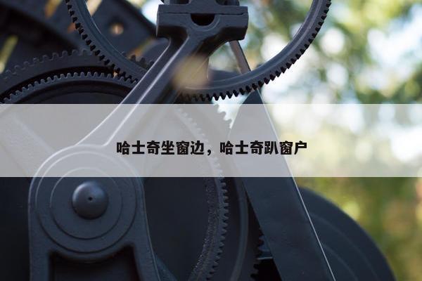 哈士奇坐窗边，哈士奇趴窗户