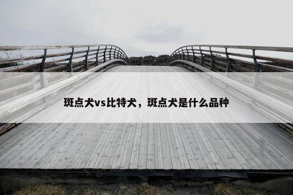 斑点犬vs比特犬，斑点犬是什么品种
