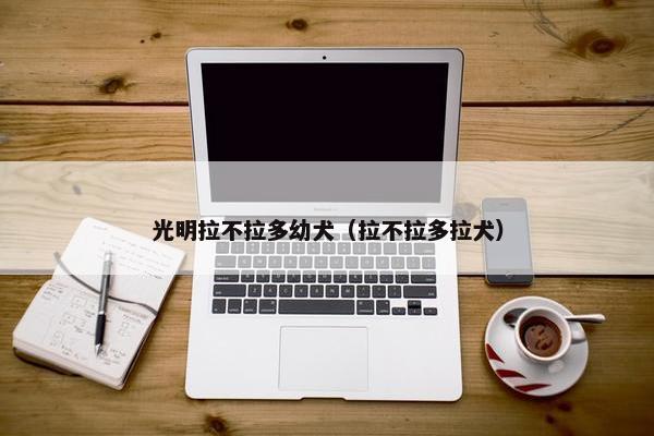 光明拉不拉多幼犬（拉不拉多拉犬）