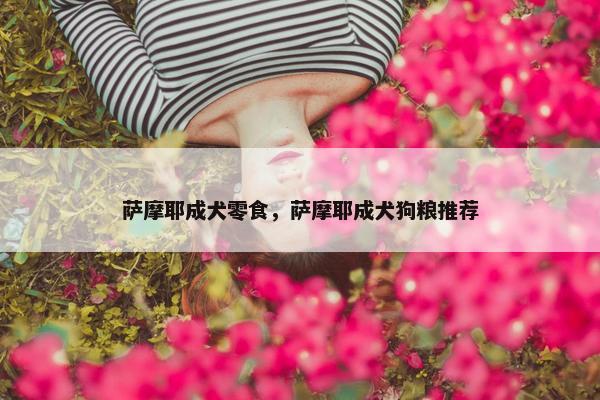 萨摩耶成犬零食，萨摩耶成犬狗粮推荐
