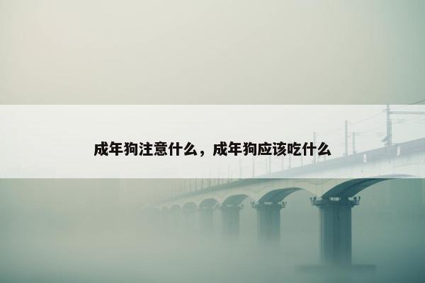成年狗注意什么，成年狗应该吃什么
