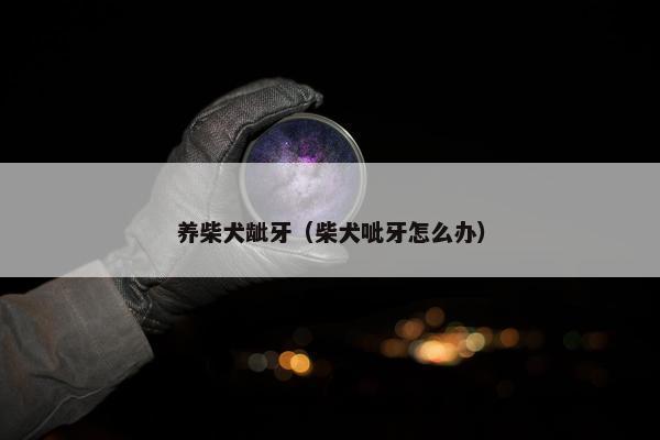 养柴犬龇牙（柴犬呲牙怎么办）