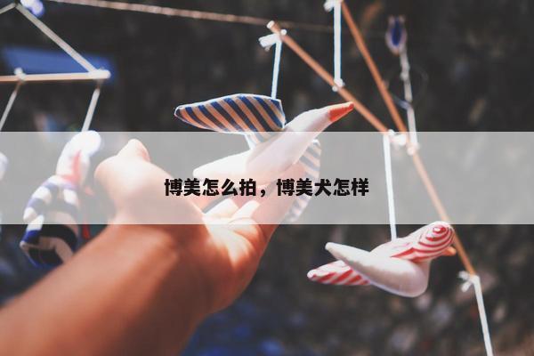 博美怎么拍，博美犬怎样