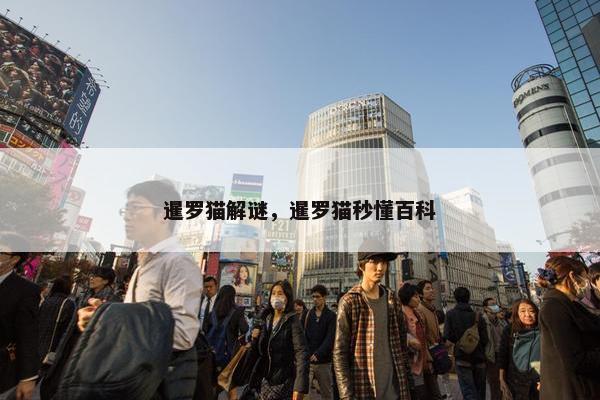 暹罗猫解谜，暹罗猫秒懂百科