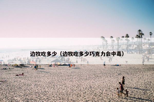 边牧吃多少（边牧吃多少巧克力会中毒）