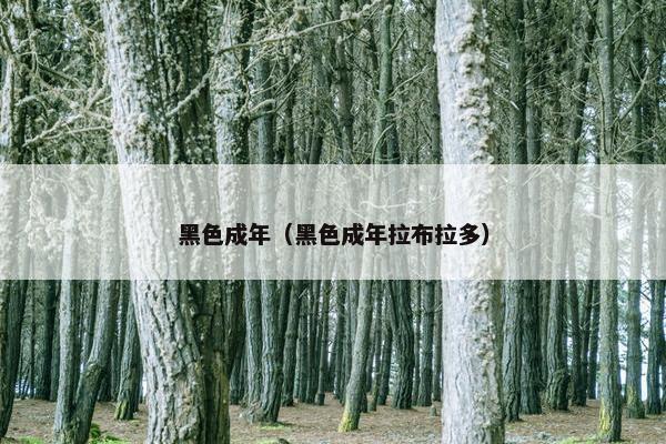 黑色成年（黑色成年拉布拉多）