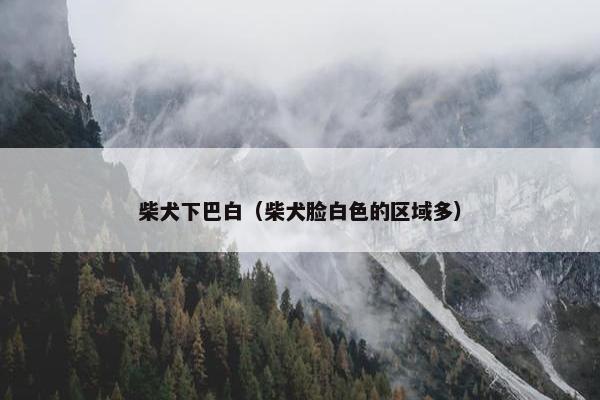 柴犬下巴白（柴犬脸白色的区域多）
