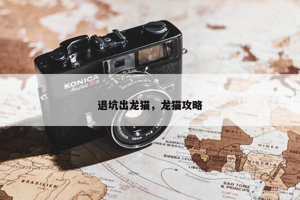 退坑出龙猫，龙猫攻略