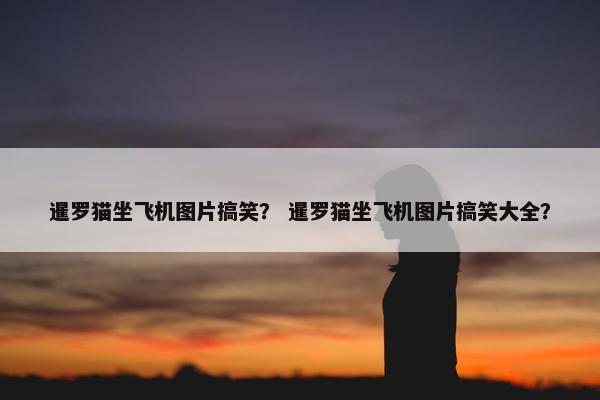 暹罗猫坐飞机图片搞笑？ 暹罗猫坐飞机图片搞笑大全？