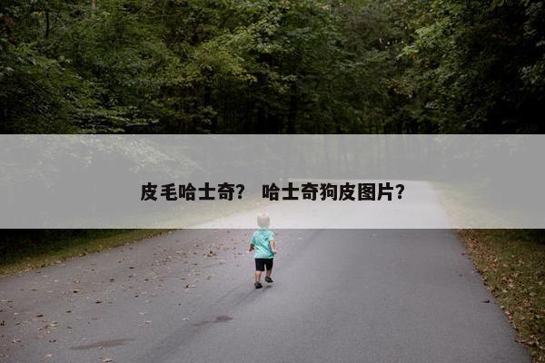 皮毛哈士奇？ 哈士奇狗皮图片？