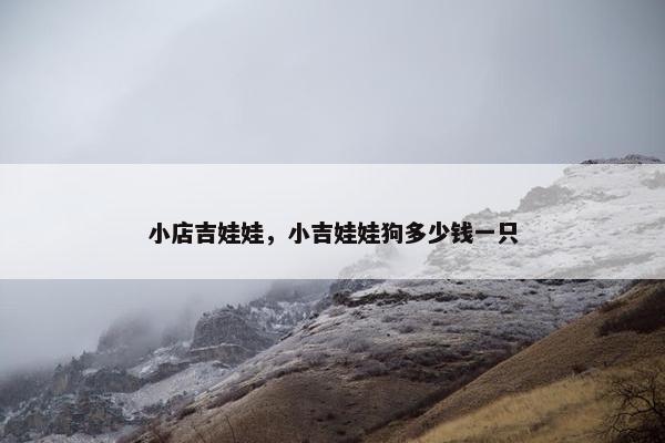 小店吉娃娃，小吉娃娃狗多少钱一只