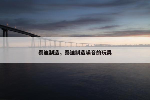 泰迪制造，泰迪制造噪音的玩具