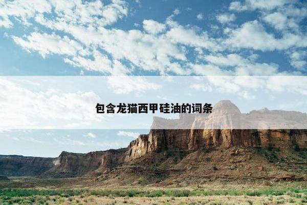 包含龙猫西甲硅油的词条