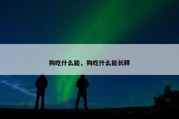 狗吃什么能，狗吃什么能长胖