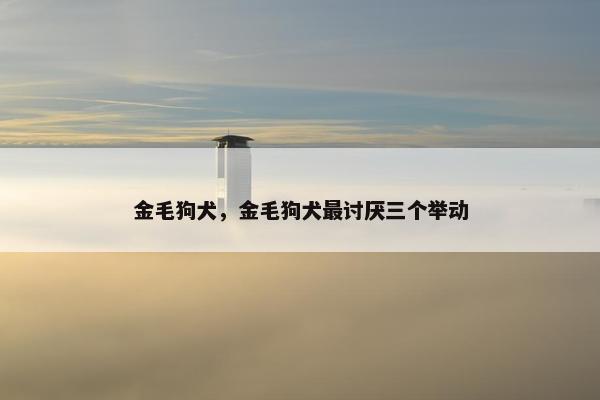金毛狗犬，金毛狗犬最讨厌三个举动