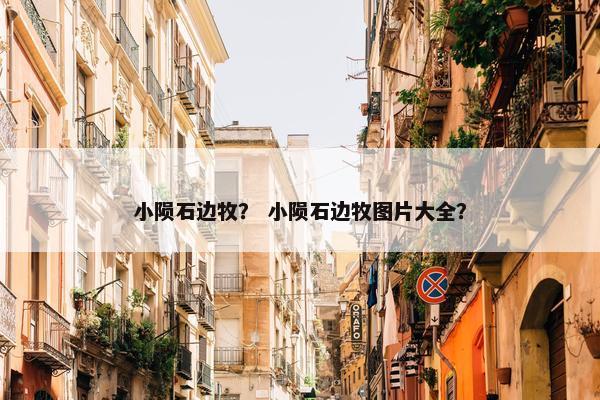 小陨石边牧？ 小陨石边牧图片大全？
