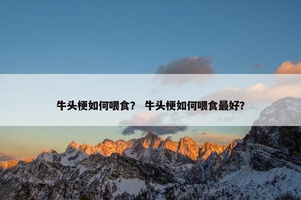 牛头梗如何喂食？ 牛头梗如何喂食最好？