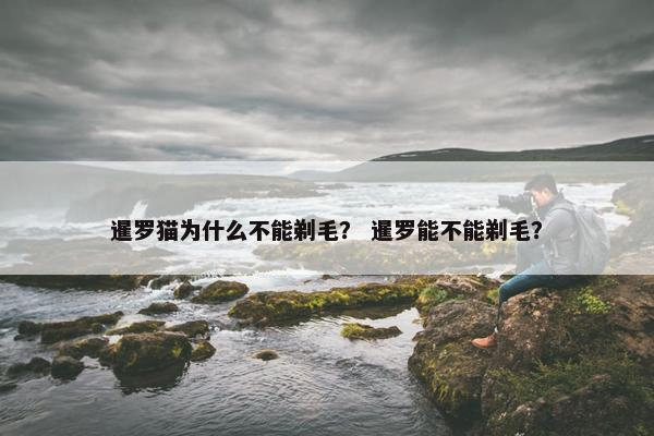 暹罗猫为什么不能剃毛？ 暹罗能不能剃毛？