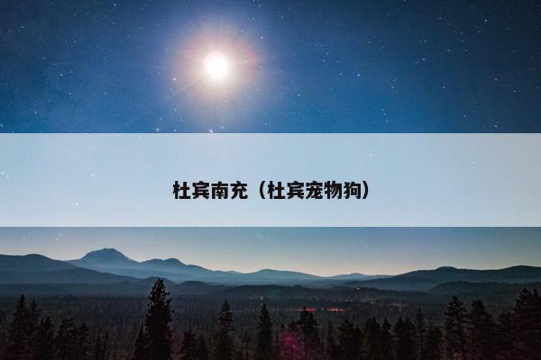杜宾南充（杜宾宠物狗）