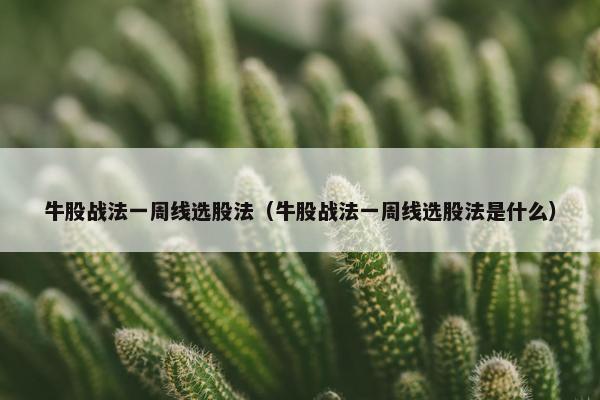 牛股战法一周线选股法（牛股战法一周线选股法是什么）