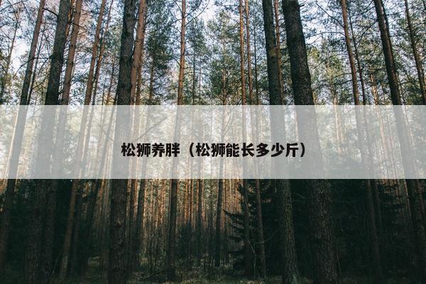 松狮养胖（松狮能长多少斤）