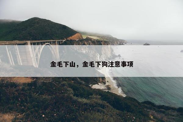 金毛下山，金毛下狗注意事项