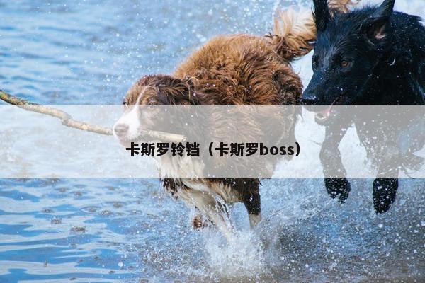卡斯罗铃铛（卡斯罗boss）