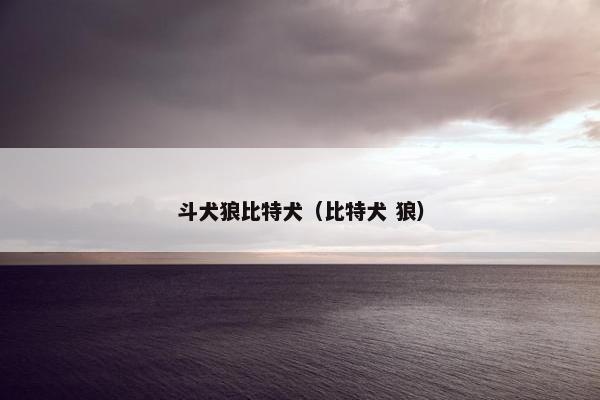 斗犬狼比特犬（比特犬 狼）