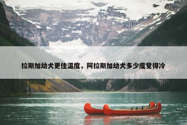 拉斯加幼犬更佳温度，阿拉斯加幼犬多少度觉得冷