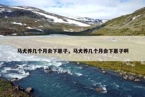 马犬养几个月会下崽子，马犬养几个月会下崽子啊