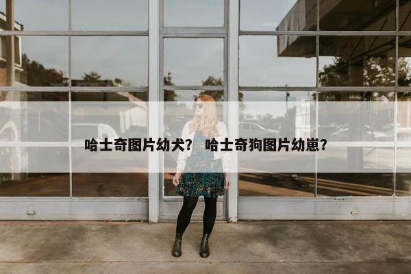 哈士奇图片幼犬？ 哈士奇狗图片幼崽？
